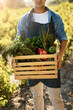© Lyndon/peopleimages.com - Vegetables, farming and man with box in hand for agriculture, production and harvest in nature. Gardening, farmer and container with healthy food for sustainable business, growth and organic produce