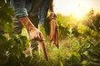 © Lyndon/peopleimages.com - Hands, farming and man with carrots in nature for agriculture, sustainable and agro harvest growth. Environment, field and male person with organic, fresh and nutrition vegetable in countryside.