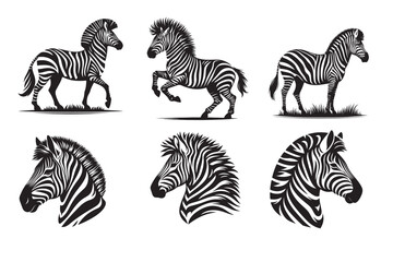 Wall Mural - zebra silhouette vector illustration.eps