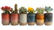 © QuietWord - succulent and cactus various type houseplant in ceramic pot, PNG transparent background with shadow