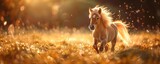 A cute little Shetland pony with a long mane is running in the field during the golden hour light, with sun rays and lens flares in the photo realistic style