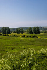 Wall Mural - A view out over a rural Sussex landscape on a sunny early summer's day
