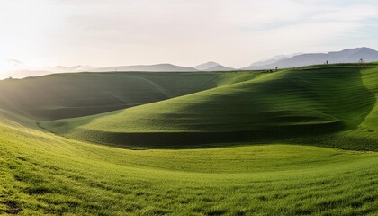 Wall Mural - wide panorama of beautiful hilly meadow grass landscape isolated white background vibrant spring agriculture design pattern concept