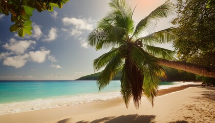 Wall Mural - palm tree on tropical beach anse georgette in paradise on praslin seychelles