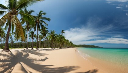 Wall Mural - panorama of tropical beach with coconut palm trees