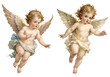 © PNG transparent - Victorian baby angel, flying on isolated transparent background
