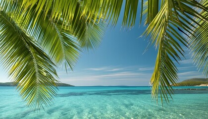 Wall Mural - green coconut palm tree leaves above crystal blue sea