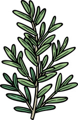 Poster - Colorful Illustration of a Rosemary Herb Plant Suggesting Organic Freshness