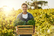 © Lyndon/peopleimages.com - Sustainable, farming and portrait of man with box for vegetables, production and harvest in nature. Smile, farmer and container with organic produce for agro business, ngo and growth in Australia