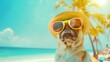 © PasAI Photography - A humorous and beautiful image captures the essence of summer as a dog enjoys vacation vibes donning sunglasses with the blue ocean background