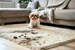 © Yaroslav - Dog sits by mess on rug.