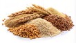 © Alexander - A variety of grains and seeds are piled on a white background