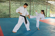 © New Africa - Girl practicing karate with coach on tatami outdoors