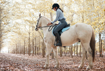 Canvas Print - Woman, riding and horse in nature for exercise, sports and adventure or freedom in forest. Equestrianism, female person and animal with saddle for health, training and workout in countryside or woods