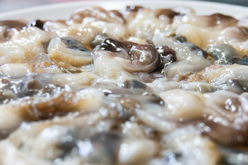 Wall Mural - View of the raw clams for shabu-shabu