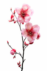 Wall Mural - Pink flower is on branch with leaves and buds on it.