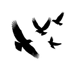 birds logo vector black silhouette design for logos