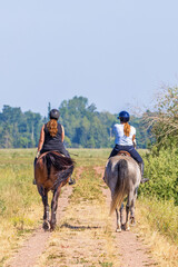 Poster - Two women riding on horses on a path in a meadow landscape in summer