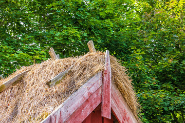 Canvas Print - Roof ridge on a thatched barn