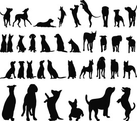 Sticker - set of dogs of different breeds silhouette vector