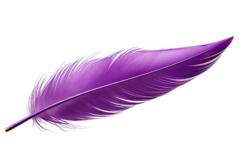 Ethereal Beauty: A Purple Feather Dancing on White Canvas on White or PNG Transparent Background.