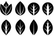 © Romana Rupa - Black leaf icon natural set