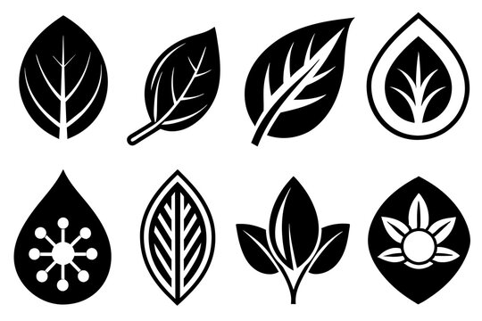 Vector icons of leaves in variety of shape design