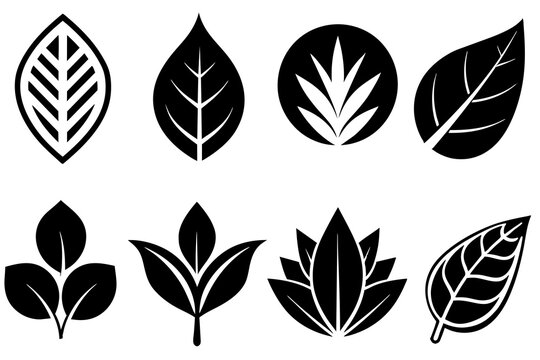 Vector icons of leaves in variety of shape design