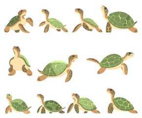 Wall Mural - Animals in shells. Collection of sea or ocean tortoises and land turtles in swimming and walking poses.