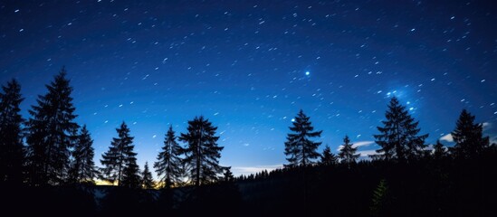 Wall Mural - nighttime winter sky view with visible milky way seen from beneath a mountain forest, offering a wid