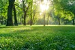 © Vlad - Green Grass Field in Refreshing Public Park with Morning Light