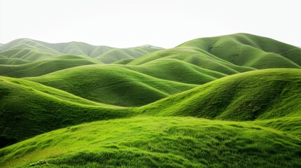 a picturesque landscape of rolling green hills set against a white background. the lush, grassy hill