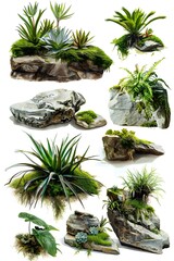 Canvas Print - Collection of Rocks with Vegetation