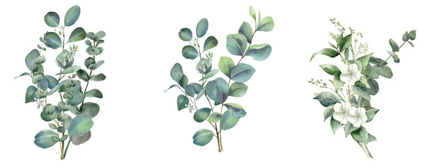 Sticker - Watercolor eucalyptus flower bouquet on transparent background.