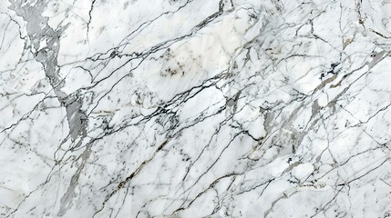 Canvas Print - marble texture