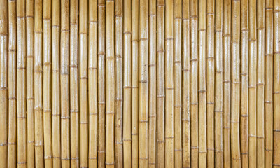 Wall Mural - bamboo fence texture background.