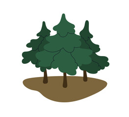 fir trees, conifer plants. wood nature with spruce, firtree. coniferous woodland, green eco environm