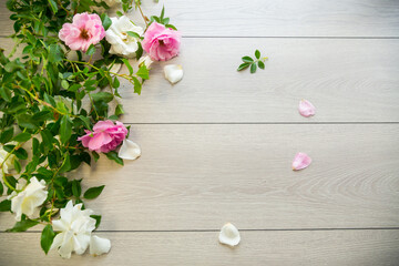 Sticker - wooden light background with white and pink roses