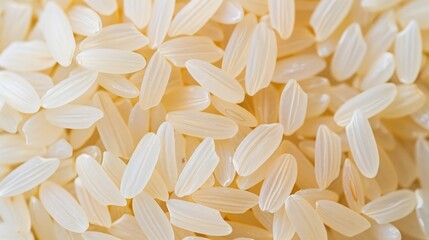 Wall Mural - Closeup of uncooked white long grain rice on a plain background