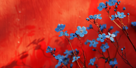 Wall Mural - Beautiful blue flowers on red background