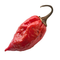 Wall Mural - A bright red, fresh chili pepper on a white background