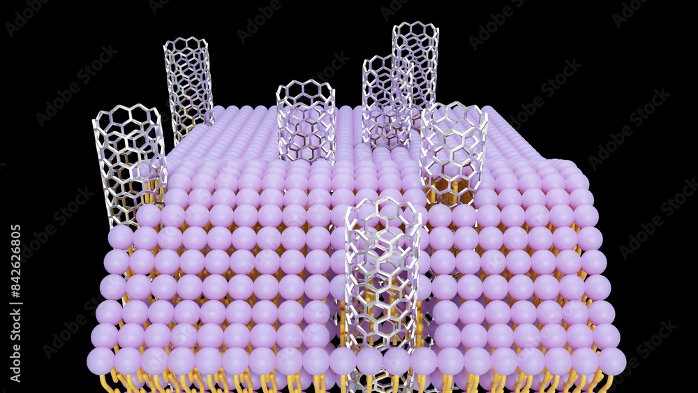 3D rendering of carbon nanotube porins, short pieces of carbon ...