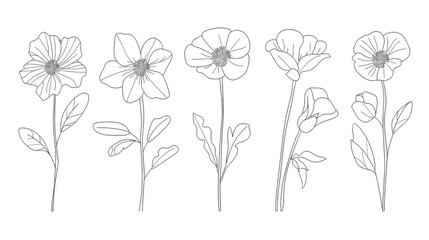 A set of delicate wildflower line drawings in the style of a minimalist illustrator, with a simple black and white clipart style generated with AI