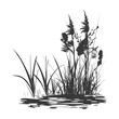 © NikahGeh - silhouette swamp coastal plants black color only