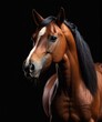 © eartist85 - Beautiful bay horse portrait on black background