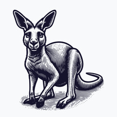 Wall Mural - kangaroo