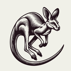 Wall Mural - kangaroo