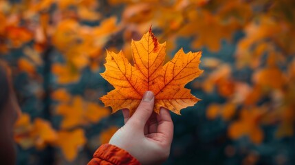 A person holding a leaf in front of a tree