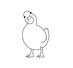 Wall Mural - Vector isolated  duck duck goose  colorless black and white contour line easy drawing 