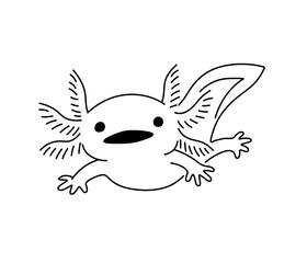 Wall Mural - Vector isolated  cute swimming Axolotl salamander amphibious  colorless black and white contour line easy drawing 